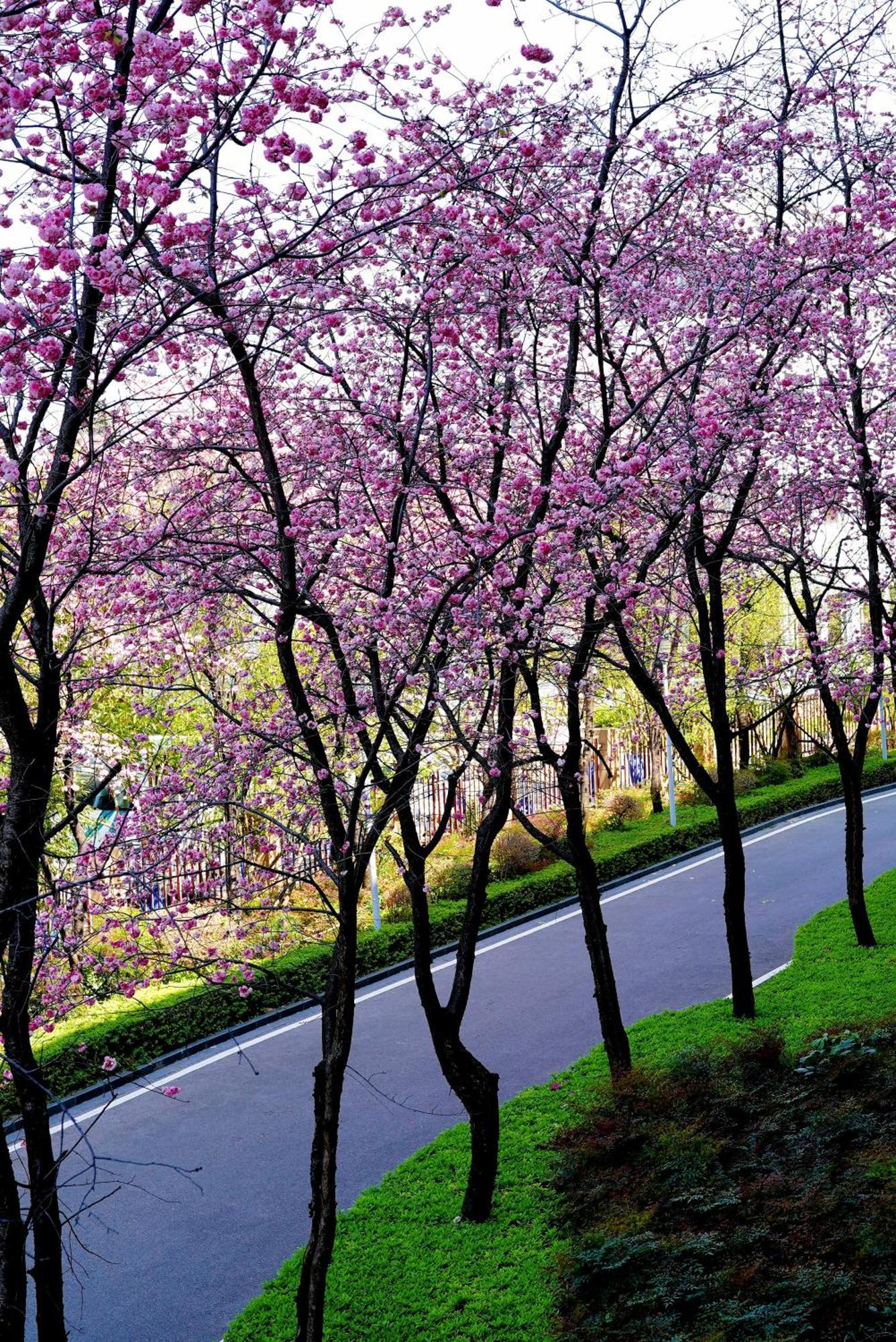 Intercontinental Kunming By Ihg Hotel Exterior foto
